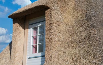 Goldcliff thatch roof disadvantages